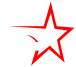 logo-star-partner-biale